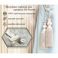 Заглушка торцева з обмежувачем для профіля DS, Forest