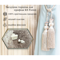 Заглушка торцева з обмежувачем для профіля KS Forest